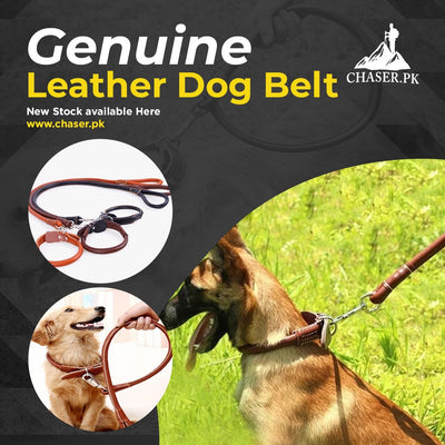 Genuine Leather Dog Belt