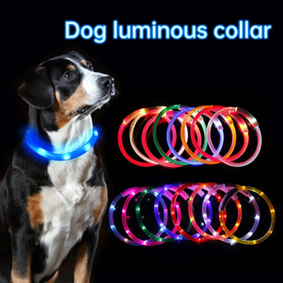 Cat, Dog LED Light Collar 35CM