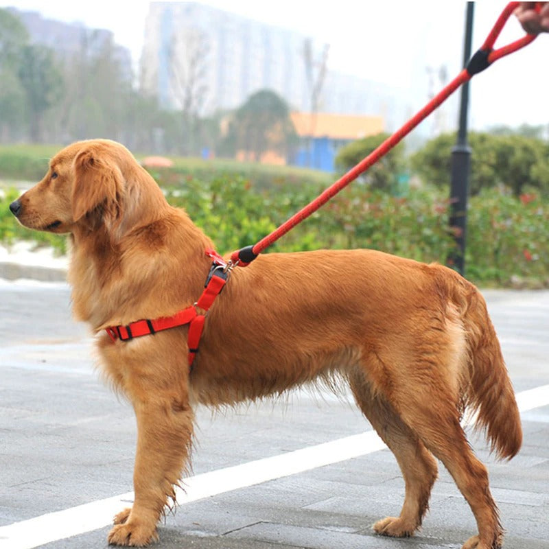 New Adjustable Nylon Dog Belt