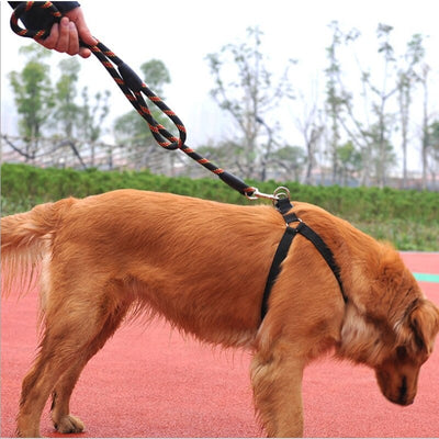 New Adjustable Nylon Dog Belt