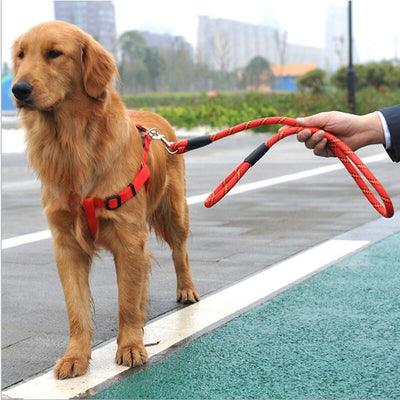 New Adjustable Nylon Dog Belt